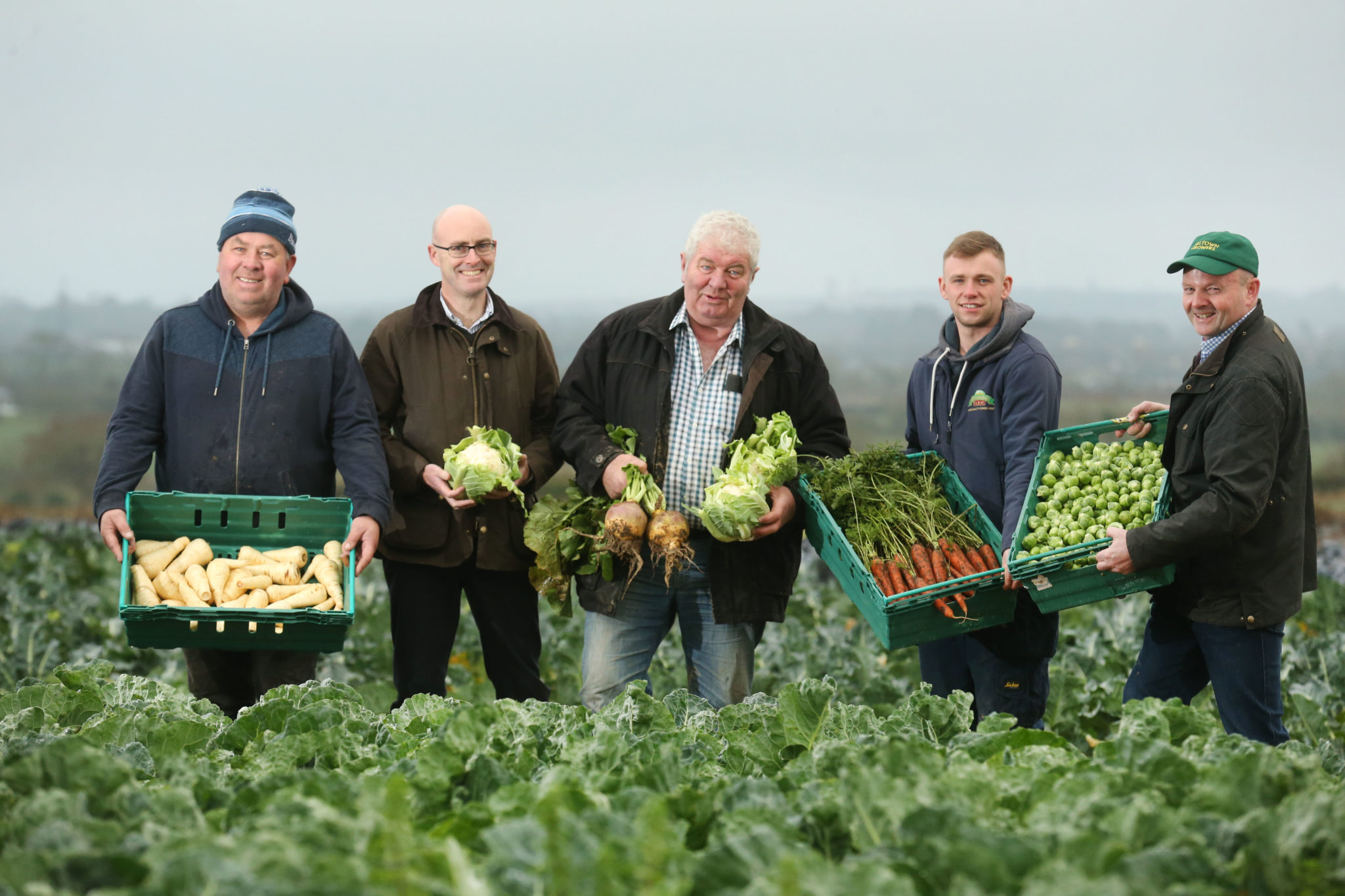 Horticulture Winter Market Report Jan 18th Irish Farmers' Association