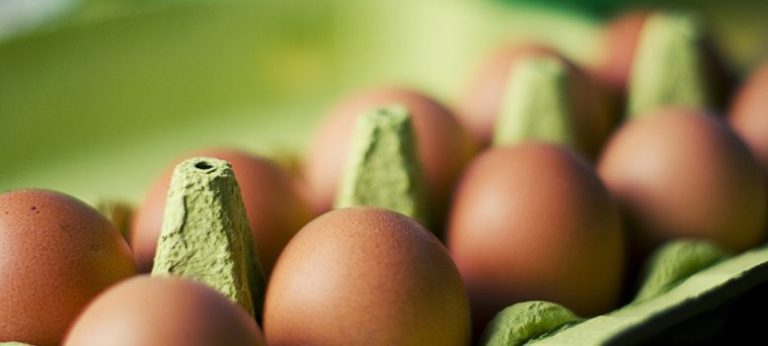 Ifa Poultry Developer IFA Poultry Committee to Hold Biosecurity Webinar on Avian Flu Threat ...