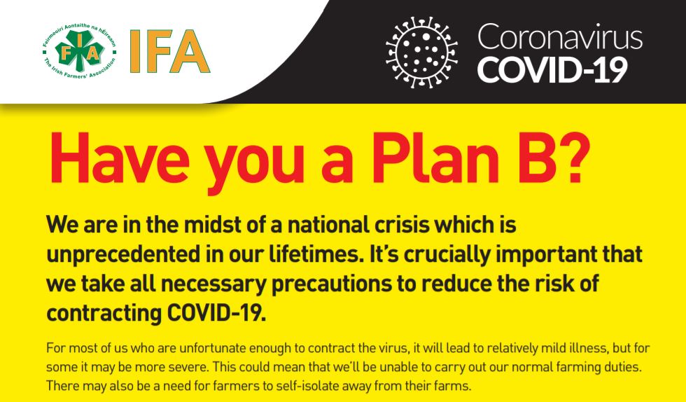 Ifa business plan example picture