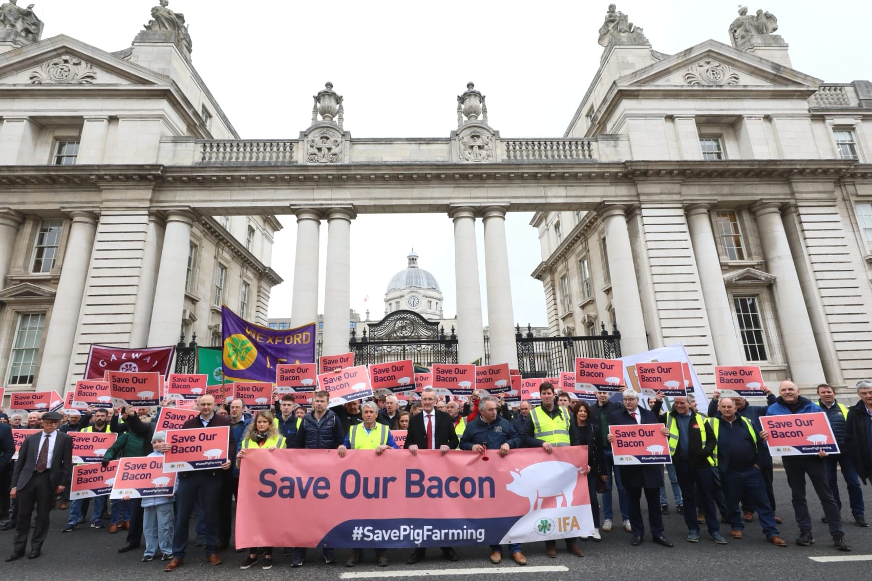 Pigs Protesting Further Engagement Needed on Proposal to Secure Future of Pig Sector ...